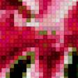 Preview of cross stitch pattern: #542374