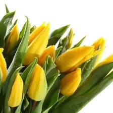 Cross stitch pattern: #542382