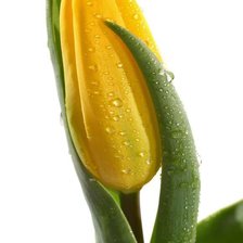 Cross stitch pattern: #542387