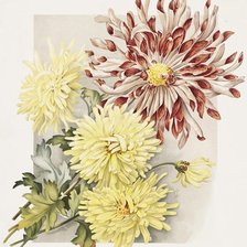 Cross stitch pattern: #542452