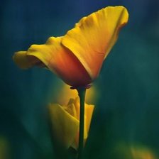 Cross stitch pattern: #542534