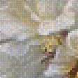 Preview of cross stitch pattern: #542542