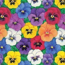 Cross stitch pattern: #543151