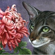 Cross stitch pattern: #543211