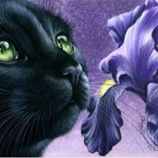 Cross stitch pattern: #543223