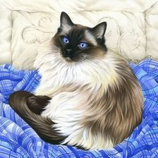 Cross stitch pattern: #543657