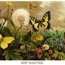 Cross stitch pattern: #544401