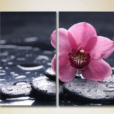 Cross stitch pattern: #544462