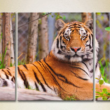 Cross stitch pattern: #544463