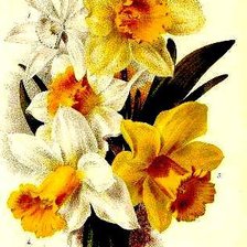 Cross stitch pattern: #544670