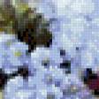 Preview of cross stitch pattern: #544953