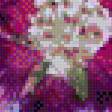 Preview of cross stitch pattern: #544956