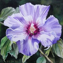 Cross stitch pattern: #544956