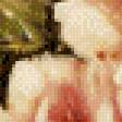 Preview of cross stitch pattern: #545227