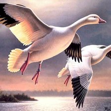 Cross stitch pattern: #545250
