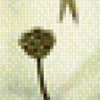 Preview of cross stitch pattern: #545375