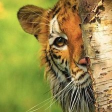 Cross stitch pattern: #545438