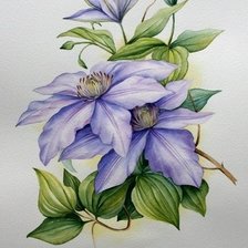 Cross stitch pattern: #545528
