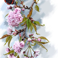 Cross stitch pattern: #545597
