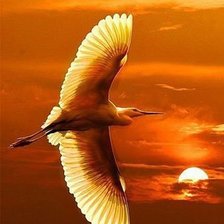Cross stitch pattern: #545634