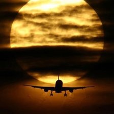 Cross stitch pattern: #545646