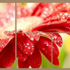 Cross stitch pattern: #546084