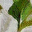Preview of cross stitch pattern: #546119