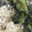 Preview of cross stitch pattern: #546134
