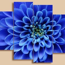 Cross stitch pattern: #546303