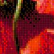 Preview of cross stitch pattern: #546552