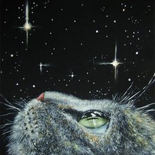 Cross stitch pattern: #546862