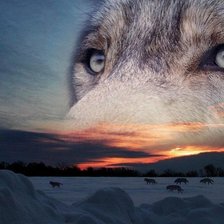 Cross stitch pattern: #547043