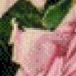 Preview of cross stitch pattern: #547047