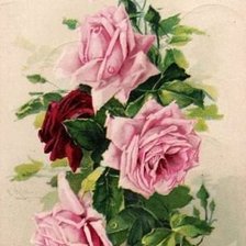 Cross stitch pattern: #547047