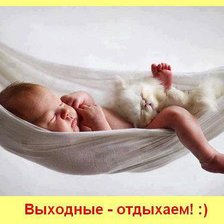 Cross stitch pattern: #547056