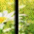 Preview of cross stitch pattern: #547058