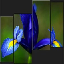 Cross stitch pattern: #547059