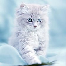Cross stitch pattern: #547066