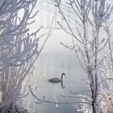 Cross stitch pattern: #547071