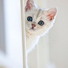 Cross stitch pattern: #547087
