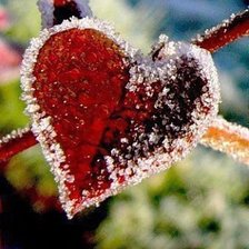 Cross stitch pattern: #547260