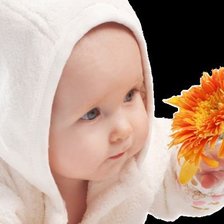 Cross stitch pattern: #547270