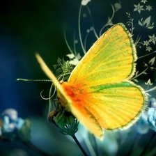 Cross stitch pattern: #547283