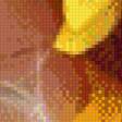 Preview of cross stitch pattern: #547388