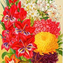 Cross stitch pattern: #547527