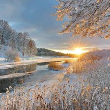 Cross stitch pattern: #547547