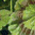 Preview of cross stitch pattern: #547549
