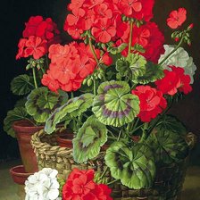 Cross stitch pattern: #547549