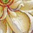 Preview of cross stitch pattern: #547795