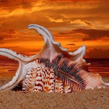 Cross stitch pattern: #547949